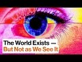 Do Our Senses Reveal The World Or Do They Obscure It Beau Lotto Big Think