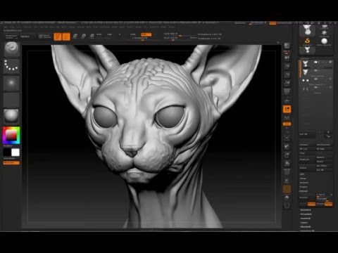 Sphynx Cat Bust Zbrush Sculpt