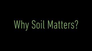 Why Soil Matters?