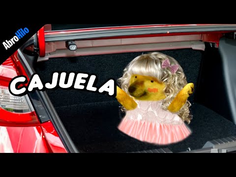 They left me forgotten in a trunk XD