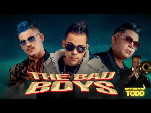 Se Pega REMIX (COVER) - The Bad Boys MC ❌ Dairo Todd