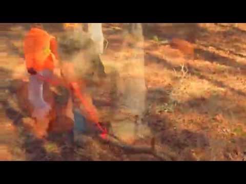 The DOUBLE DEER DRAG from Big Whitetail Dreams The DOUBLE DEER DRAG from Big Whitetail Dreams