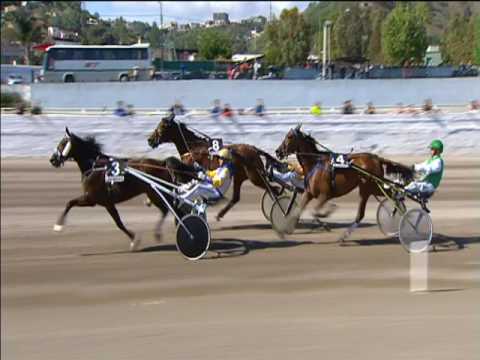 Trotto 01/05/2017 - 6ª corsa