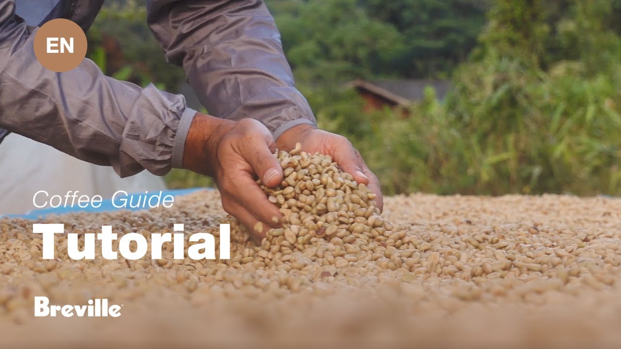 Choosing the right beans