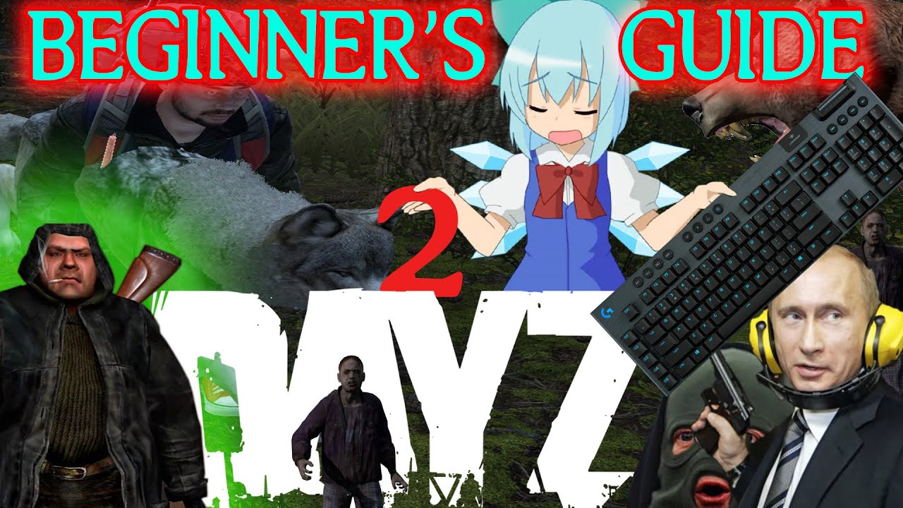 DayZ ~ Quick Controls and Basic Mechanics for Beginners Tutorial