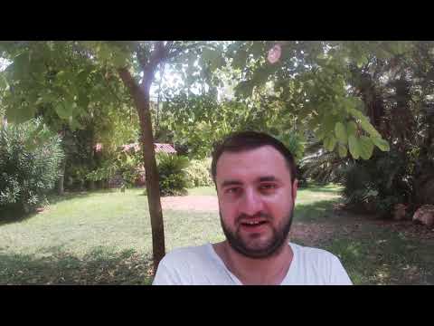 ЗЕНИТ - АХМАТ 17.08.19 19:00/РПЛ 6-Й ТУР 0-0---/ПРОГНОЗ И СТАВКА НА ФУТБОЛ