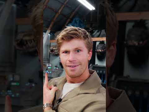 Robert Irwin