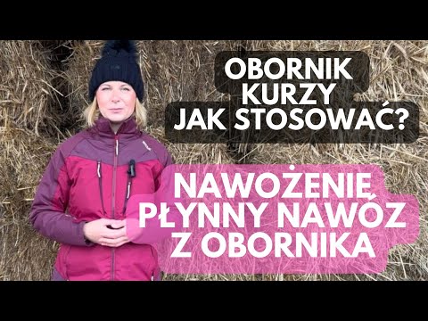 Chicken manure straight from the henhouse. How to use it? Liquid manure fertilizer. Mulching. Fer...