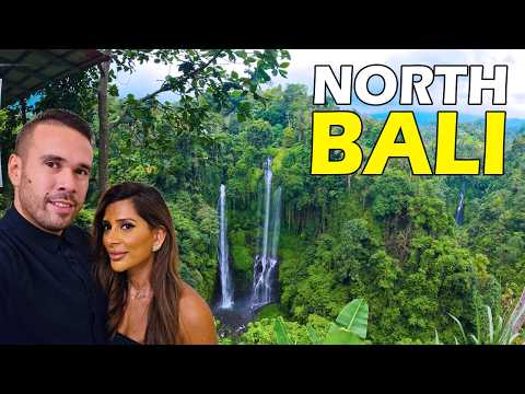 We Found Paradise in North Bali | Travel Vlog | Three Waterfalls, Wild Dolphins & Amazing Food