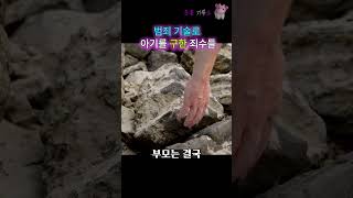 Download lagu 아기가 갇힌 차를 본 수감자들의 행동 🚨 #shorts #감동사연 #감동실화 mp3