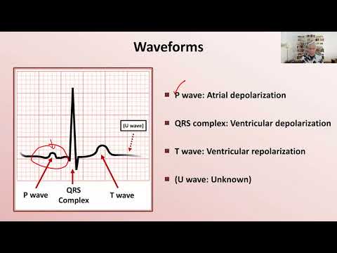 NCLEX Review Series: Understanding Electrophysiology and Basic ECG Interpretation
