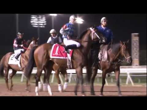 2011 $100K David M Vance Sprint S