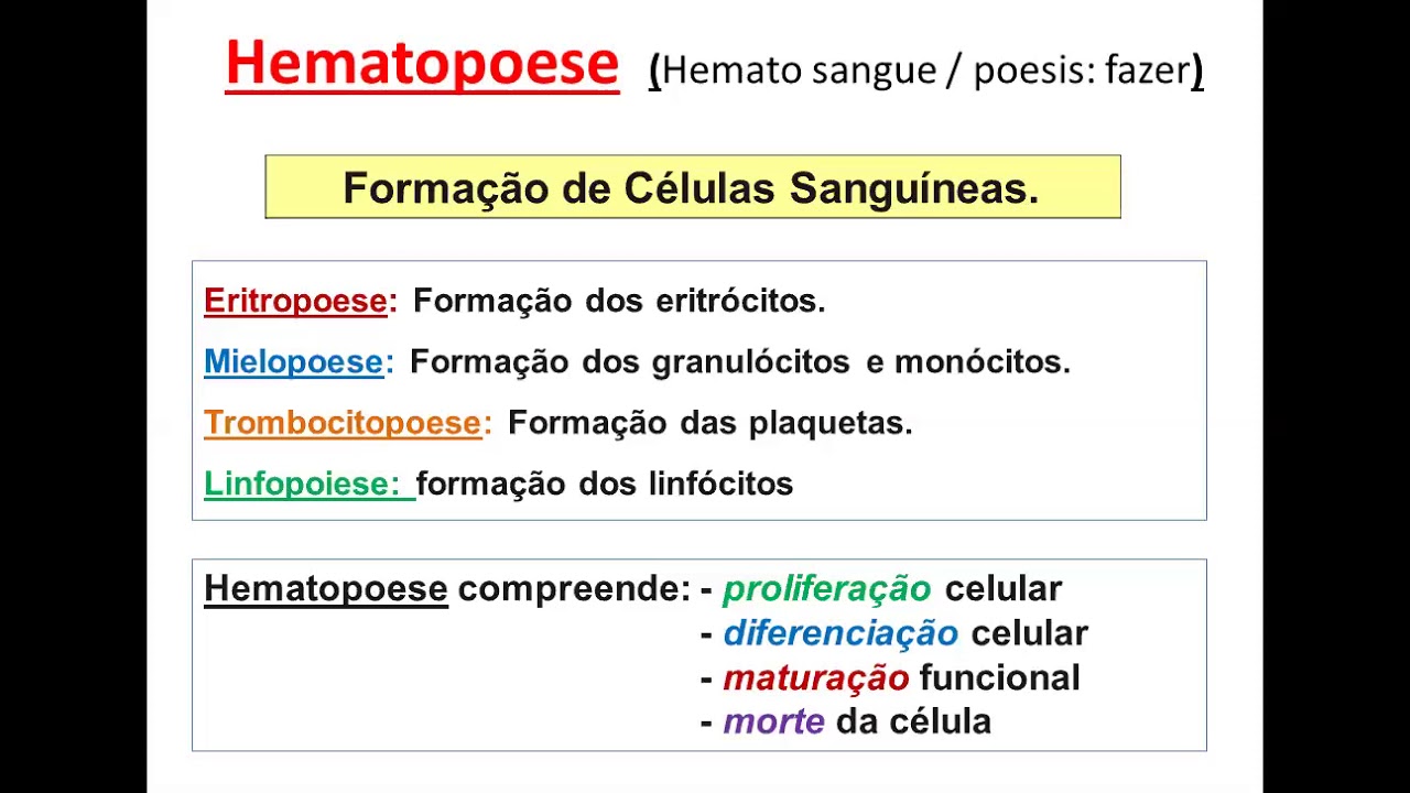 HEMATOPOIESE 1 - INTRODUÇÃO