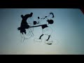 Tangled 2010 Intro