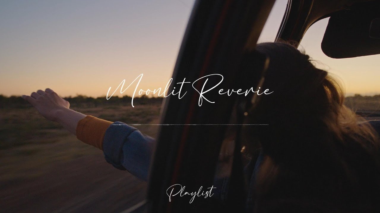Acoustic Vibes for a Scenic Drive | Acoustic Playlist