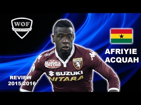 AFRIYIE ACQUAH | Torino | Goals, Skills, Assists | 2015/2016  (HD)