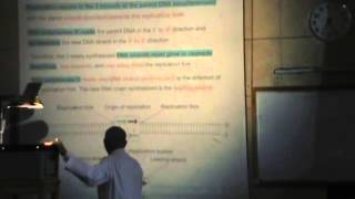 12) Dr.Rasheed 10/04/2014 [DNA : Mitochondrial DNA - Replication in prokaryotes]