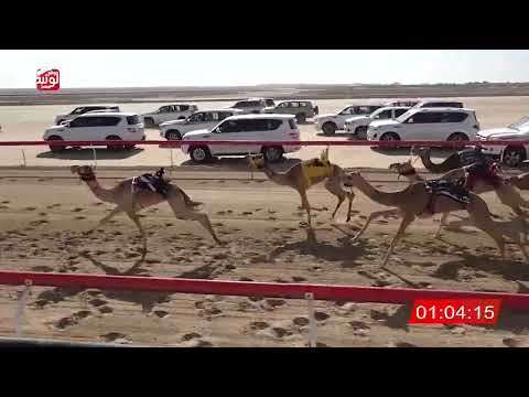 ش 3 (الشاهينيه) لـ سالم علي عبدالله الحبسي  2:15:27 ، شارة الصندوق 2026/02/13 فطامين الوثبة