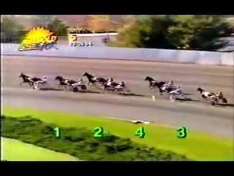 1994 Freehold Raceway HUSTLING HECTARE Jack Moiseyev