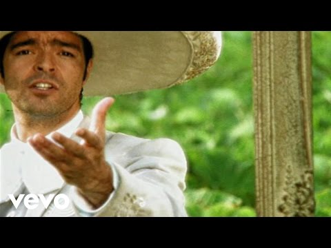Pablo Montero - Gata Salvaje (Video)