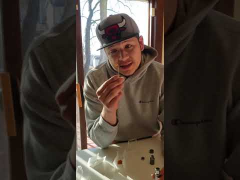 Yocan Regen Review! (Green crack shatter)