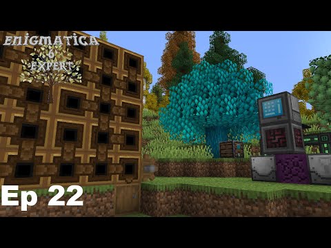 Enigmatica 6 Expert Mode - Ep 22 Refined Storage!