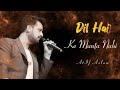 Dil Hai Ki Manta Nahin / Atif Aslam / Vocals only