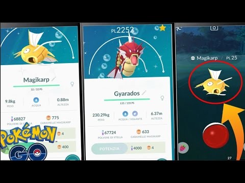 HO TROVATO MAGIKARP ORO (Shiny) - Evoluzione GYARADOS ROSSO! | Pokèmon GO