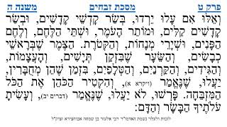 מסכת זבחים פרק ט משנה ה
