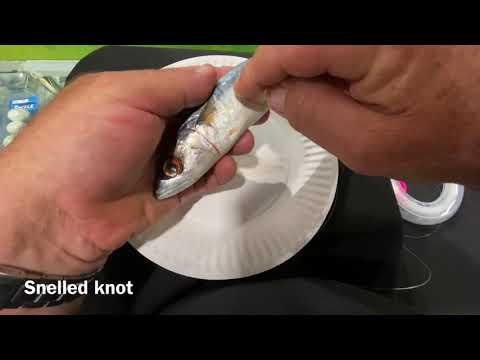 Easiest Way To Tie A 2 Hook Snell Rig For Rigging Up Live Baits And Dead Baits