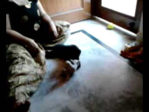 Dez When he didn't even know how to walk