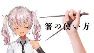 ┊箸の使い方┊ばってん箸でもいいですか？【魔使マオ／にじさんじ】