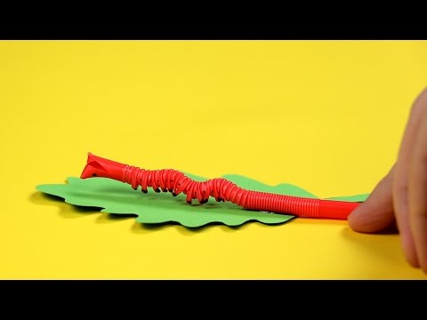 Aglio in un fondo al bambino da vermi Vermi e noce