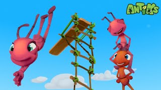 Download lagu Terjun Bebas di Air!! | ANTIKS Indonesia | Kartun Anak-anak | BARU 2023 | Petualangan Semut ANTIKS mp3