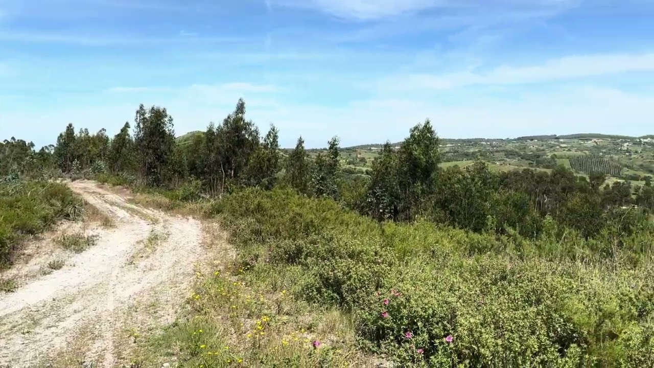 Vídeo do imóvel