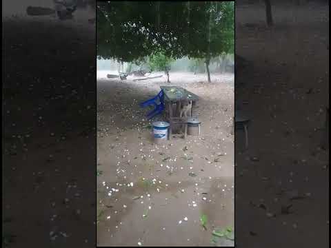 Noticias  Granizo grande en zonas de Humaitá Ñeembucú Paraguay Octubre , 2023 #Hail #Storm #Tormen