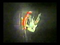 Helloween - A Little Time (Live) 