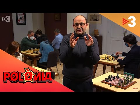 Ministre d'esports i els escacs - Polònia