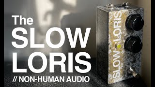 Video thumbnail for Slow Loris Demo // Non-Human Audio by Non-Human Audio