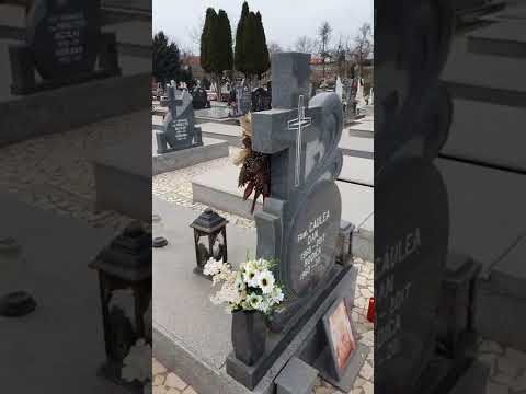 Cimitir Deta Timis