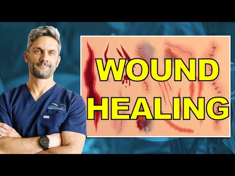 Understand the Phases of Wound Healing