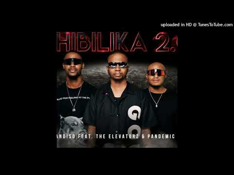 DJ Sandiso - Shibilika 2.0 (Feat. Pandemic boyz & The Elevatorz)