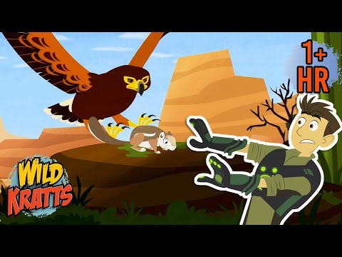 Wolf Hawks Go Hunting | Creature Battles | Wild Kratts