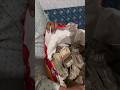 Jitna Diya Sarkar Ne Mujko Etni Meri Aukat Nhi Khatushyambhajan Khatushyamstatus Shyambhajan