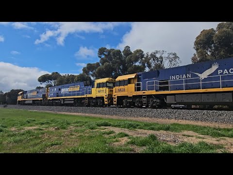 7XM4 PN up Steelie/Intermodal (5x NRs), Spencer Jnc to Melbourne, 1157, 31/8/25, Horsham 