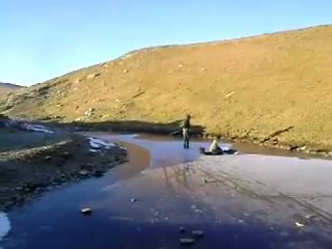 coteana avi. transalpina