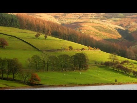 Pyotr Tchaikovsky: Andante cantabile (arr. cello) from String Quartet No. 1, Op. 11