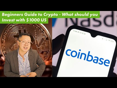 What Cryptocurrencies Should you Buy on the Dip with $1000 US (Beginner Friendly)