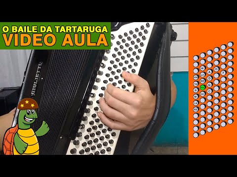 Baile Da Tartaruga - Zé Gonzaga