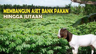 Download lagu VILLAGE FARMERS CAN BECOME RICH, BUILD GREEN FOOT BANK ASSET, HARVEST EVERY DAY WITHOUT ENDING mp3
